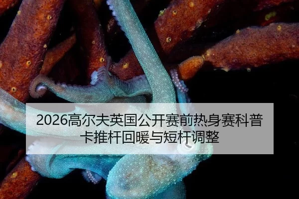 2026高尔夫英国公开赛前热身赛科普卡推杆回暖与短杆调整